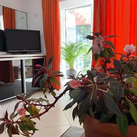 Barbershop 1-Bedroom Apt. Constanţa